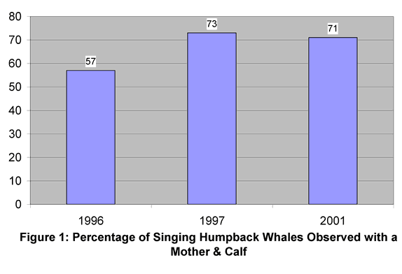 Singing Whales Graph